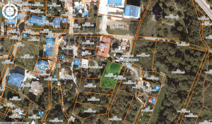 thumb_3598695_buljarica3.jpg