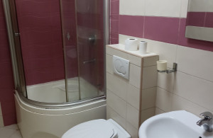 thumb_3598723_img_8919.jpg