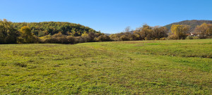 thumb_3599459_20221029_115239.jpg