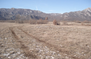 thumb_3599506_dsc00189.jpg