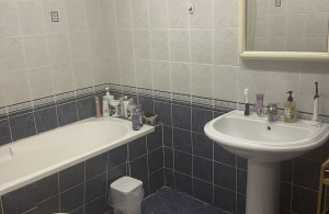 thumb_3599926_img_7155.jpeg