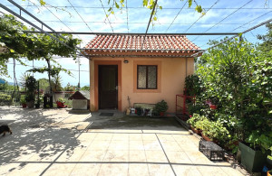 thumb_3599941_happy-montenegro-house-in-montenegro-with-sea-view48.jpg
