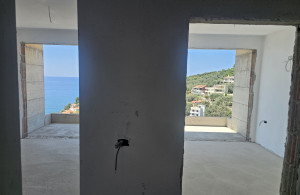 thumb_3599952_img_7192.jpeg