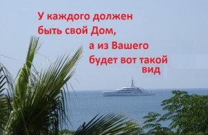 thumb_3600150_---.jpg