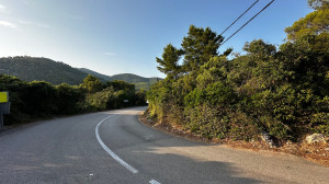thumb_3600890_img_1791.jpg