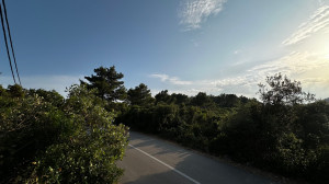 thumb_3600890_img_1795.jpg