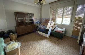 thumb_3600977_image_6862d5aaf8eabd5bca8ac349.jpg