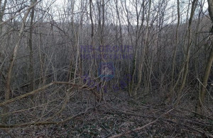 thumb_3601045_image_6294ba040382c7179dd21da4.jpeg