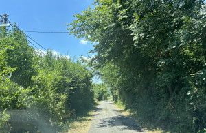 thumb_3601845_img_6524.jpeg