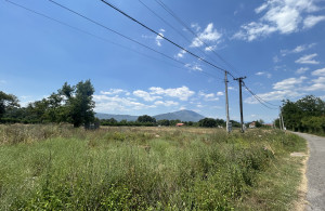 thumb_3601845_img_6527.jpeg