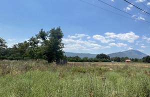 thumb_3601845_img_6620.jpeg