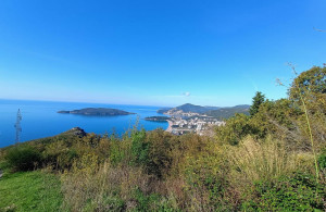 thumb_3602610_img-20250529-wa0021.jpg