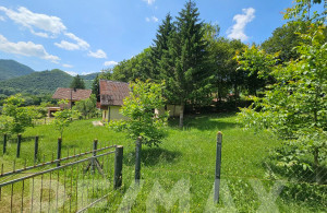 thumb_3603365_6.jpg