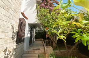 thumb_3603417_house-six-flats-separate-entrances-yard-garage-sale-108-.jpg