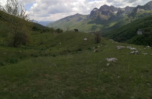 thumb_3604484_image2.jpeg