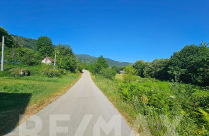 thumb_3604490_8.jpg
