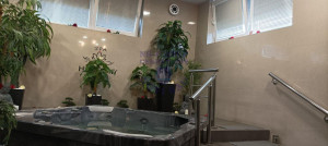 thumb_3605678_3.jpg