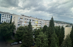 thumb_3606201_img_3684.jpeg