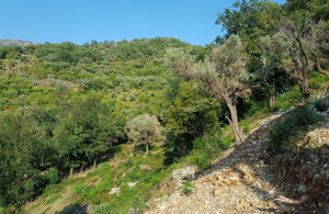 thumb_3607251_lepetane-plac-prodaja-kamin-nekretnine_2.jpg