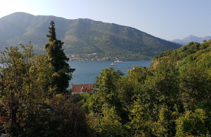thumb_3607251_lepetane-plac-prodaja-kamin-nekretnine_3.jpg