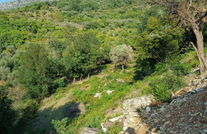 thumb_3607251_lepetane-plac-prodaja-kamin-nekretnine_4.jpg