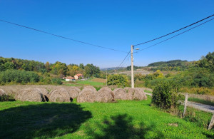 thumb_3607347_1.jpg