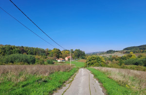 thumb_3607347_5.jpg
