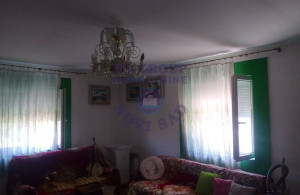 thumb_3607809_7.jpg