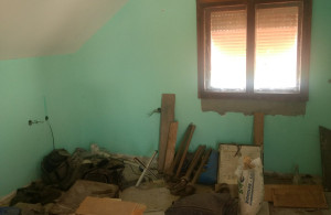 thumb_3607853_12.jpg