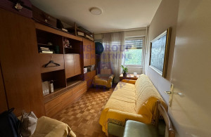 thumb_3607998_8.jpg