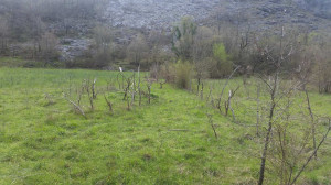 thumb_3608553_img_7675.jpeg