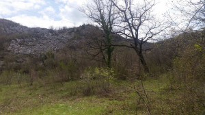 thumb_3608553_img_7677.jpeg