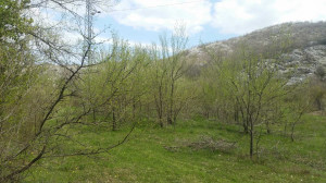 thumb_3608553_img_7678.jpeg