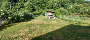 thumb_3609114_2.jpg