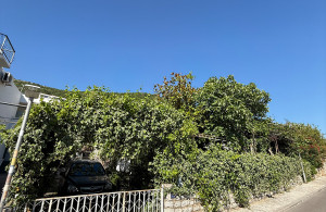 thumb_3609153_4-photo.jpg