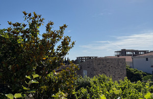 thumb_3609153_7-photo.jpg