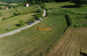 thumb_3609161_zemljiste-902-m2-krupa-8.jpg