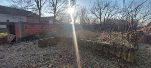 thumb_3609185_7.jpg