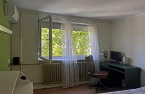 thumb_3609308_8.jpg