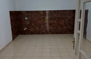 thumb_3609805_stan-1137-05.jpg