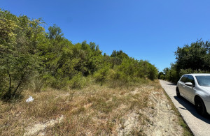 thumb_3609806_5.jpg