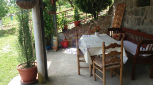 thumb_3609896_6.jpg