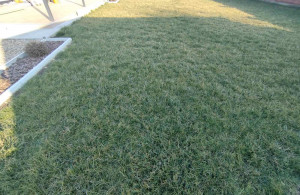 thumb_3609923_image13.jpg