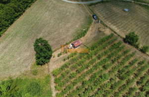 thumb_3610583_vocnjak-3974-m2-josavka-2.jpg