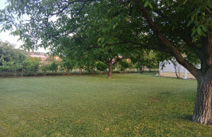 thumb_3610614_viber_image_2025-07-09_15-34-18-646.jpg