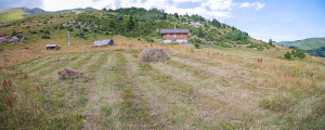 thumb_3610706_l-p.jpg