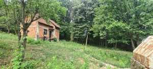 thumb_3611253_01.jpg