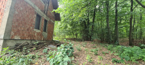 thumb_3611253_05.jpg