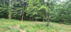 thumb_3611253_06.jpg