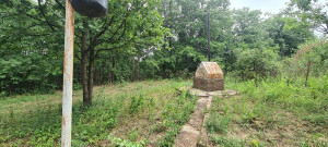 thumb_3611253_07.jpg